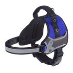 arnes-ferplast-blue
