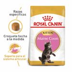 alimento-gatito-fbn-maine-coon-kitten