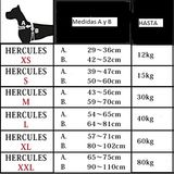 HERCULES-P-XS-HARNESS-BLUE