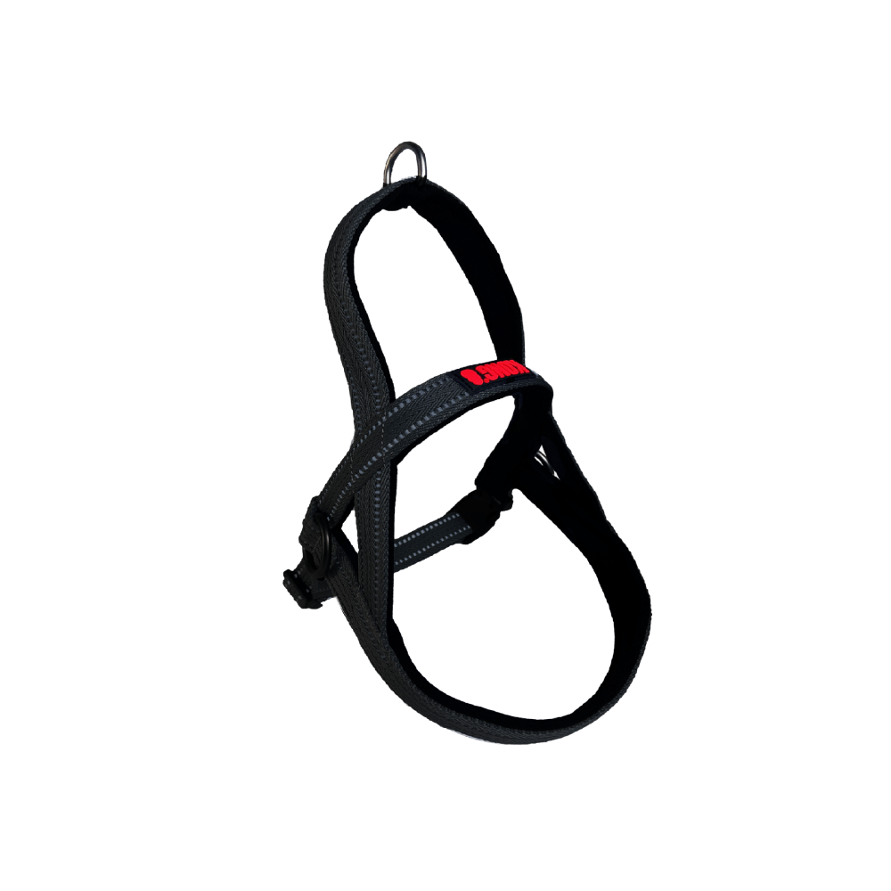 ARNES KONG C NORWEGIAN NEGRO M KONG x 1