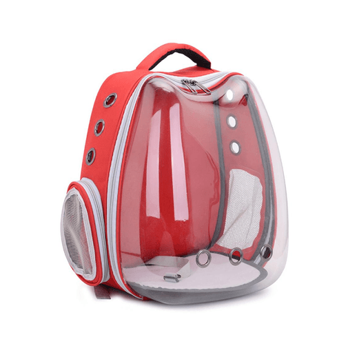 Morral transparente sale