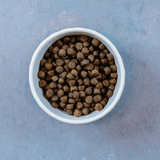 Evolve_Dog_GrainFree_Duck_Layout-15