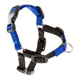 Arnes-Para-Perro-Ferplast-Coach-Azul