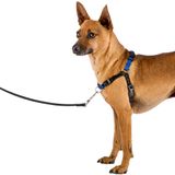 Arnes-Para-Perro-Ferplast-Coach-Azul