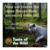 alimento-gatos-taste-of-the-wild-lowland-creek-codorniz-y-pato