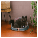 cama-para-perro-zeecat-bed-kombucha