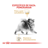 alimento-para-perro-royal-canin-bhn-pomeranian-4