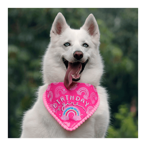 Pañoleta Para Perro Alana And Bandana Birthday Girl Puppis Puppis 8686