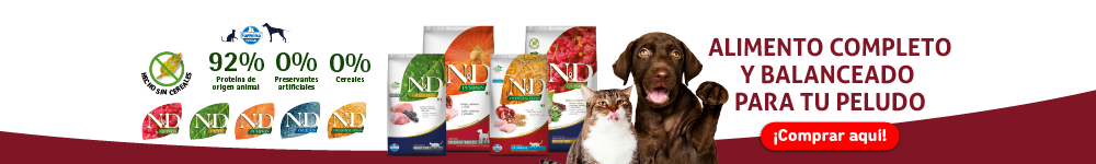 BNR CAT Perros/snacks
