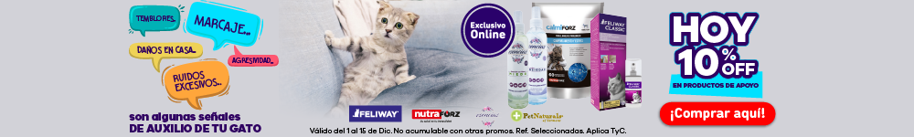 BNR CAT Gatos/farmacia
