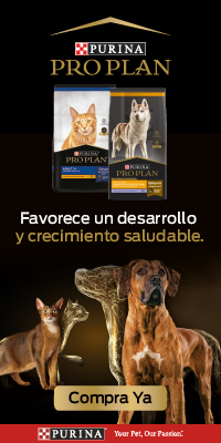bannersubmenubrands