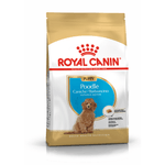 alimento-para-perro-royal-canin-bhn-poodle-puppy