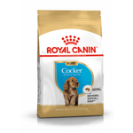 alimento-para-perro-royal-canin-breed-health-nutrition-cocker-puppy