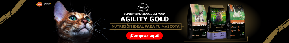 BNR CAT Perros/Alimentos