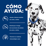 alimento-humedo-para-perro-hills-urinary-care-ud