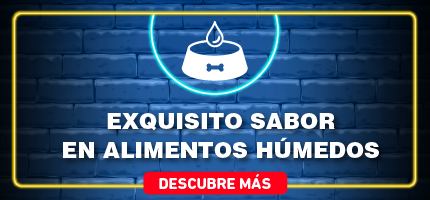 Descubre exquisito sabor de Alimentos Húmedos