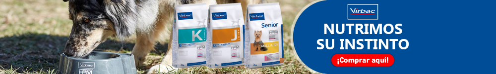 BNR CAT Perros/estetica-e-higiene
