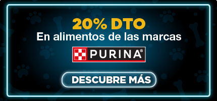 dd