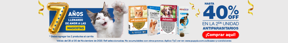 BNR CAT Gatos/farmacia