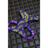 Proyecto-nuevo--76-.png