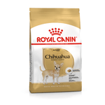BHN-CHIHUAHUA-ADULT.png