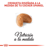 BHN-COCKER-ADULT---CROQUETA.png