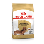 BHN-DACHSHUND-ADULT.png