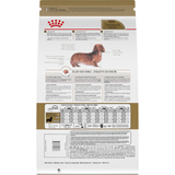 BHN-DACHSHUND-ADULT---REVERSO.png