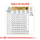 BHN-BULLDOG-FRANCES-PUPPY---TABLA-DE-RACION.png