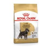 BHN-MINI-SCHNAUZER-ADULT.png