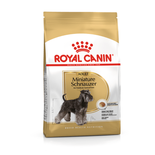BHN-MINI-SCHNAUZER-ADULT.png