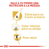 BHN-MINI-SCHNAUZER-ADULT---NUTRICION-A-LA-MEDIDA.png