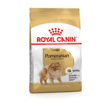 BHN-POMERANIAN-ADULT.png