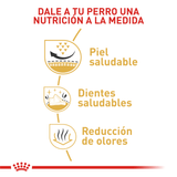 BHN-POMERANIAN-ADULT---NUTRICION-A-LA-MEDIDA.png