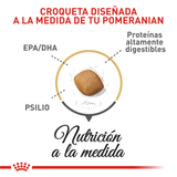 BHN-POMERANIAN-ADULT---CROQUETA.png