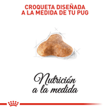 BHN-PUG-ADULT---CROQUETA.png