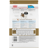 BHN-SHIH-TZU-PUPPY---REVERSO.png