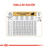 BHN-SHIH-TZU-PUPPY---TABLA-DE-RACION.png