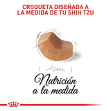 BHN-SHIH-TZU-PUPPY---CROQUETA.png