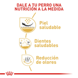BHN-SHIH-TZU-ADULT---NUTRICION-A-LA-MEDIDA.png
