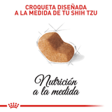 BHN-SHIH-TZU-ADULT---CROQUETA.png