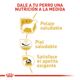 BHN-WEST-HIGHLAND-WHITE-TERRIER-ADULT---NUTRICION-A-LA-MEDIDA.png