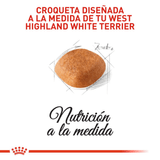 BHN-WEST-HIGHLAND-WHITE-TERRIER-ADULT---CROQUETA.png