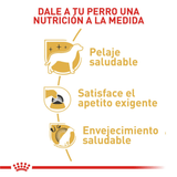 BHN-YORKSHIRE-ADULT---NUTRICION-A-LA-MEDIDA.png