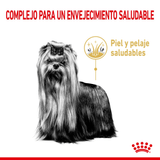 BHN-YORKSHIRE-8----ENVEJECIMIENTO-SALUDABLE.png