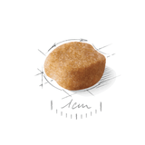 BHN-YORKSHIRE-8----CROQUETA.png