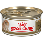 BHN-POMERANIAN-LATA---LATA.png