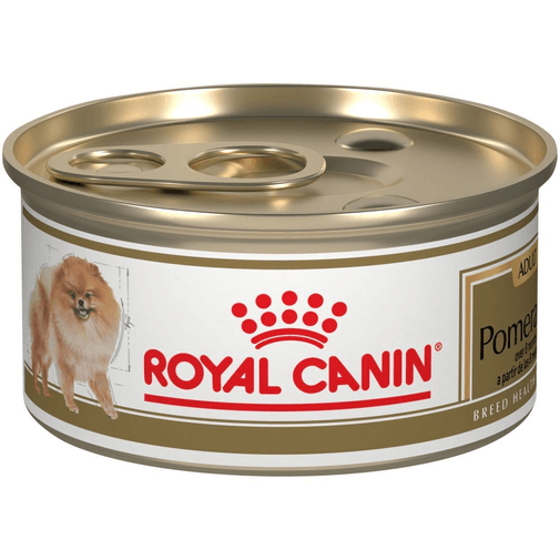 BHN-POMERANIAN-LATA---LATA.png
