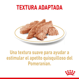 BHN-POMERANIAN-LATA---TEXTURA.png