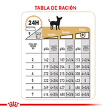 BHN-CHIHUAHUA-LATA---TABLA-DE-RACION.png